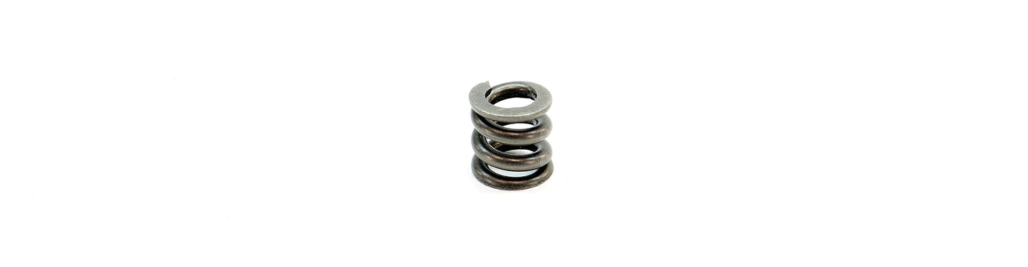 Compact Regulator High Pressure Spring - 200psi (Micro Reg, UGS and CGS)